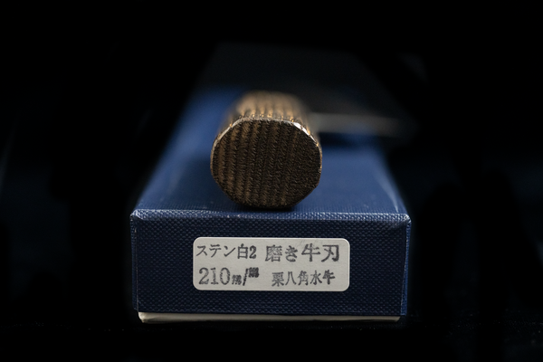 Kochi 210mm Migaki Stainless Clad Carbon Wa-Gyuto