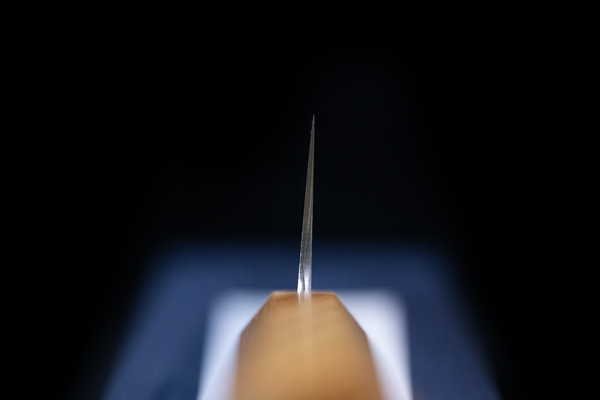 Gesshin Ginga 210mm Carbon Wa-Gyuto (Zelkova)