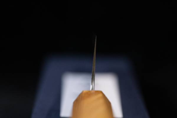 Gesshin Ginga 210mm Stainless Wa-Gyuto (Zelkova)