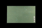 Oroshigane Single-Sided #4