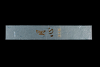 Gesshin Stainless 150mm Wa-Petty