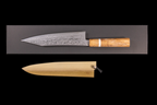 Fukakuryu Kai 210mm Kiritsuke Wa-Gyuto