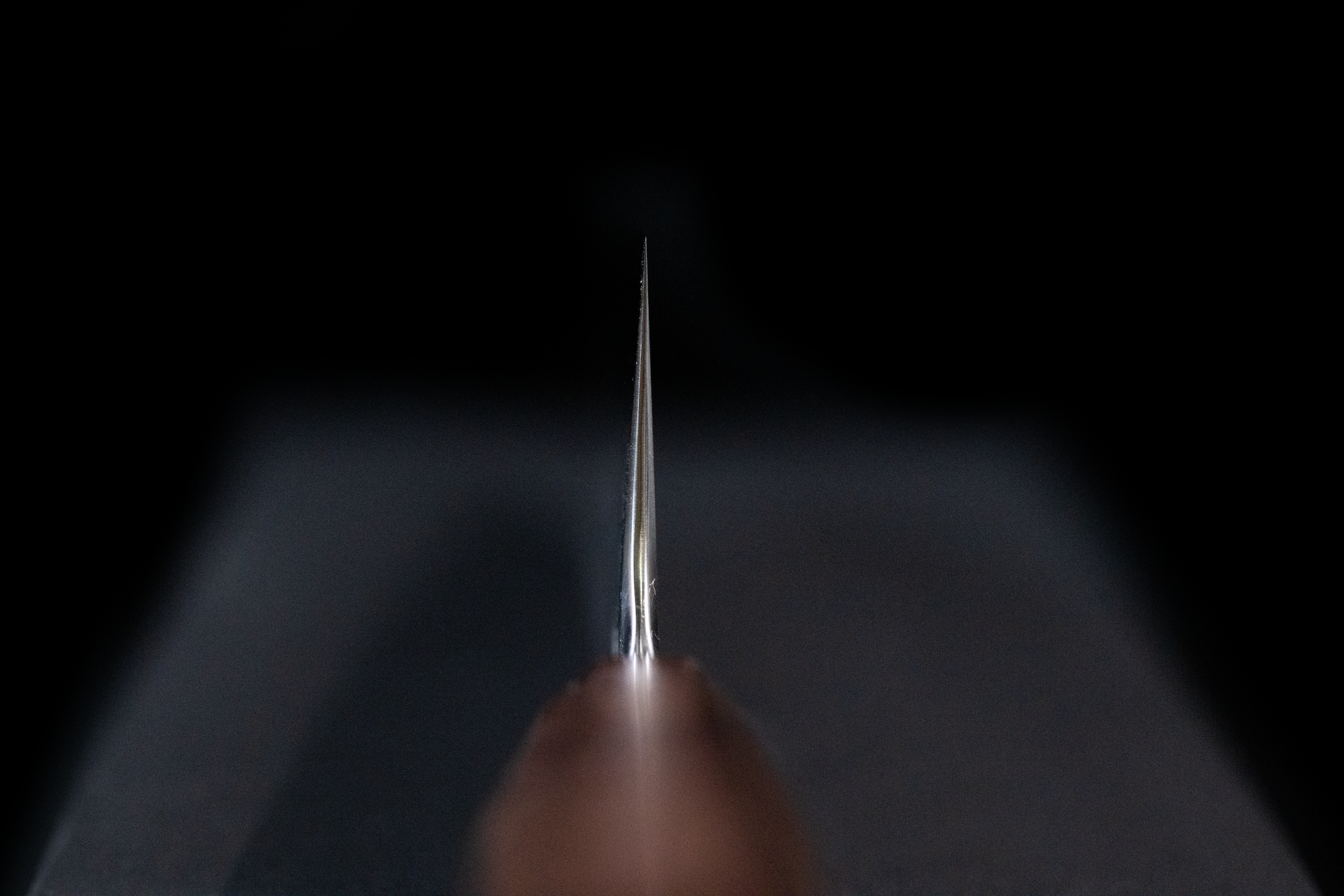 Blazen Ryu 240mm Kiritsuke Wa-Gyuto