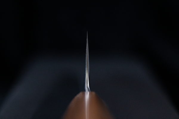 Blazen Ryu 210mm Kiritsuke Wa-Gyuto