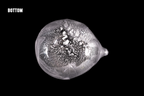 Silver Flake Suikuchi