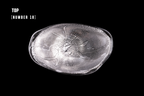 Silver Flake Plate (Small)