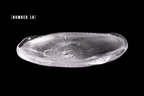 Silver Flake Plate (Small)