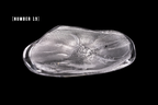 Silver Flake Plate (Small)