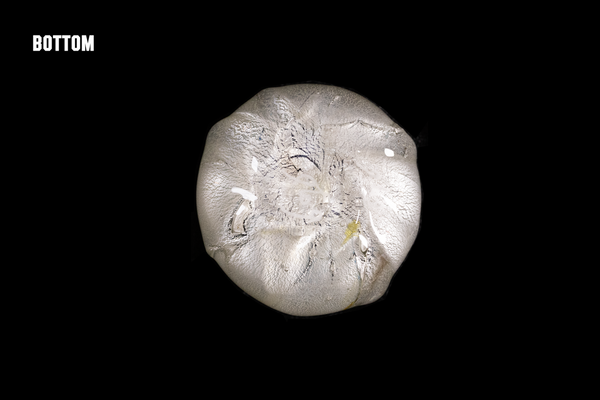 Silver Flake Yellow Guinomi