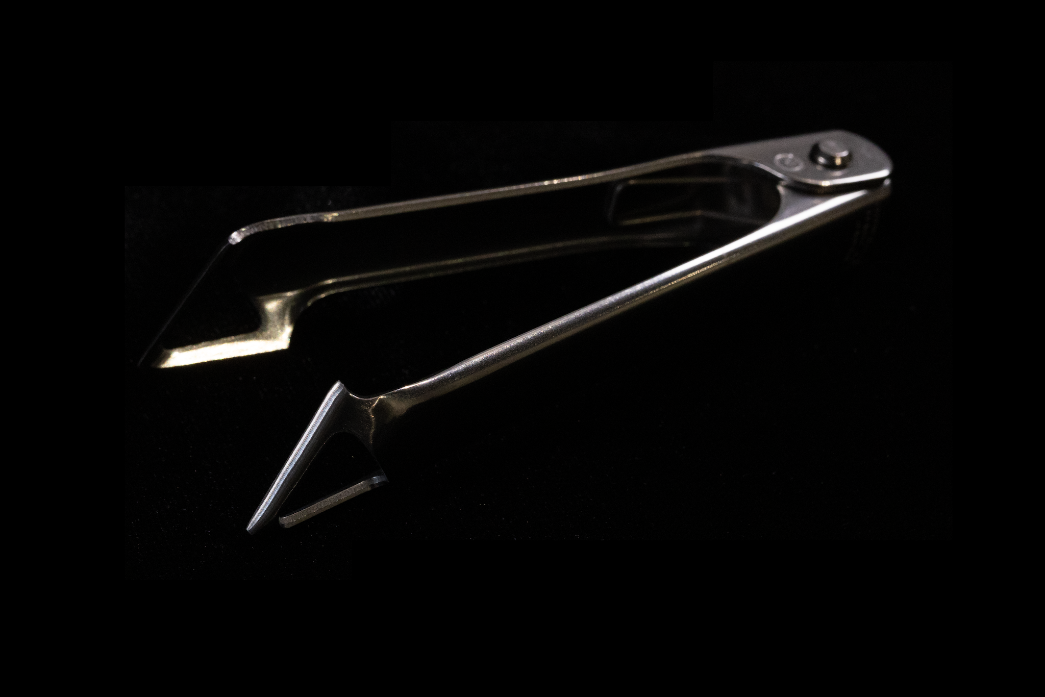 Suwada Fish Tweezers