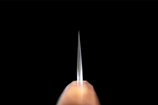 Ginrei 270mm 52100 Kurouchi Wa-Gyuto