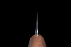 Ginrei 210mm 52100 Kurouchi Wa-Gyuto
