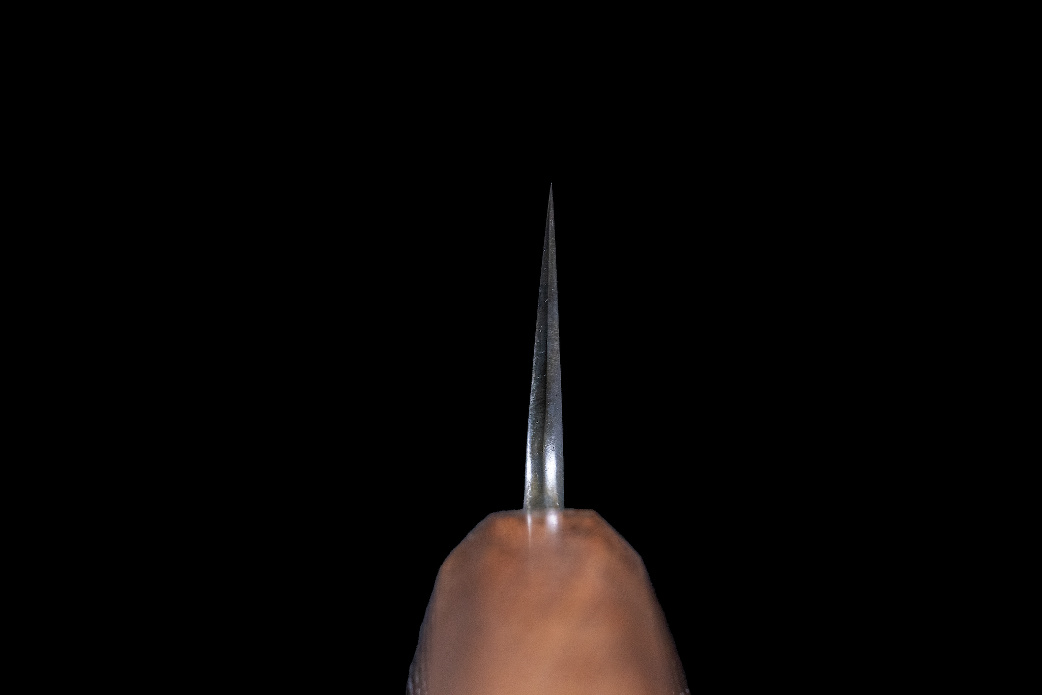 Ginrei 210mm 52100 Kurouchi Wa-Gyuto