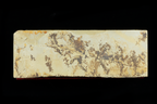 Ohira (205x75x30)