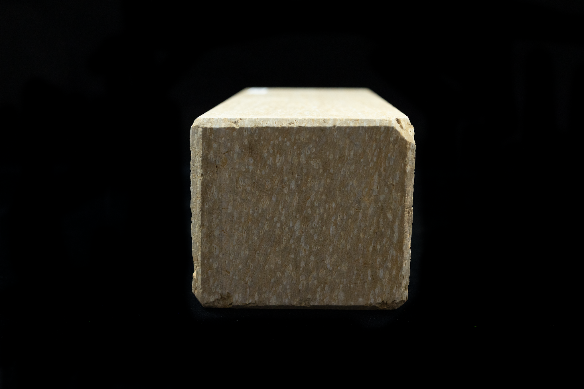 Monzento (225×105×90)
