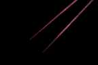 Pakkawood Hashi