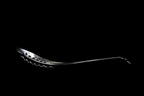 Slotted Renge Spoon
