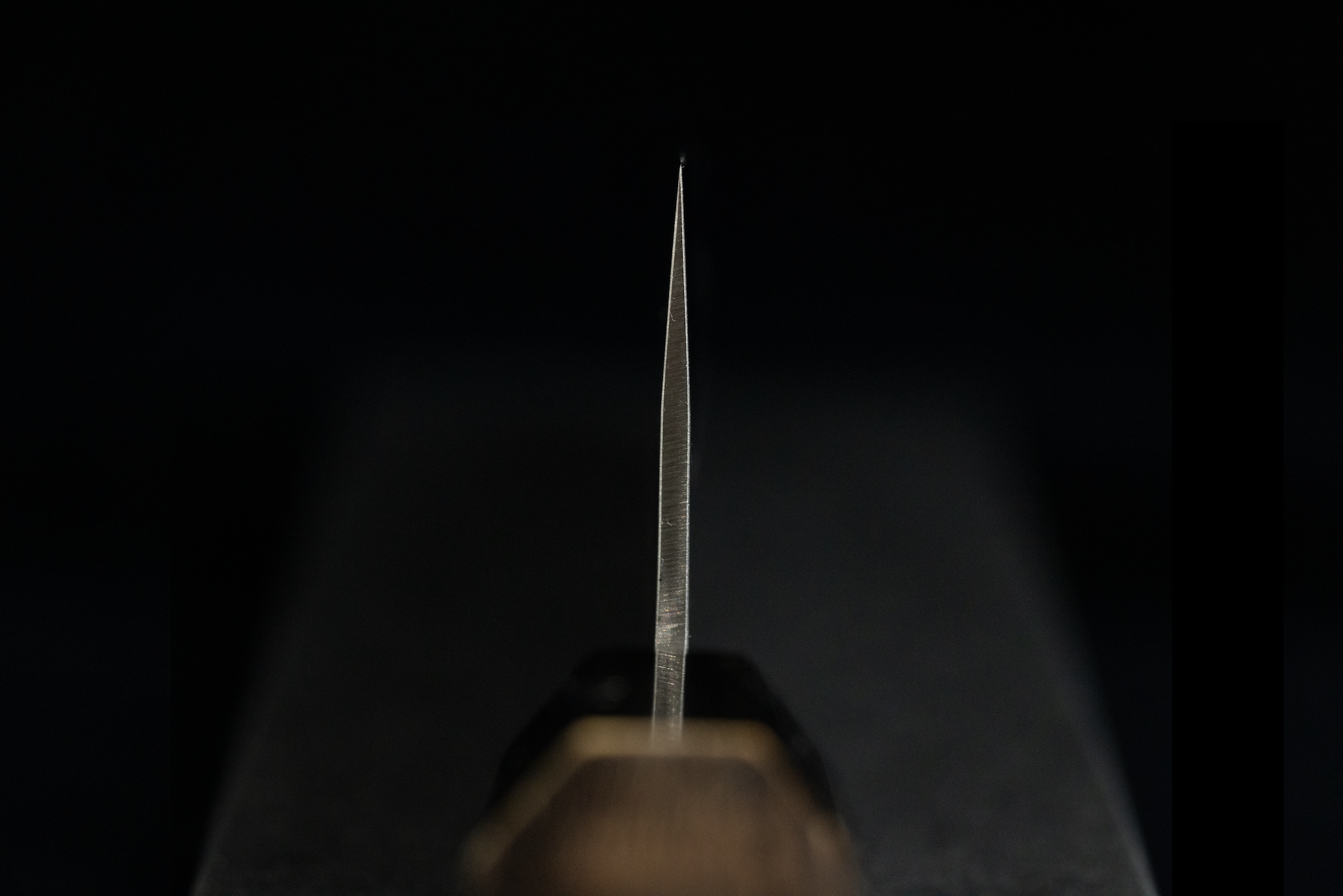 Toki 210mm Stainless Clad SLD Tsuchime Wa-Gyuto