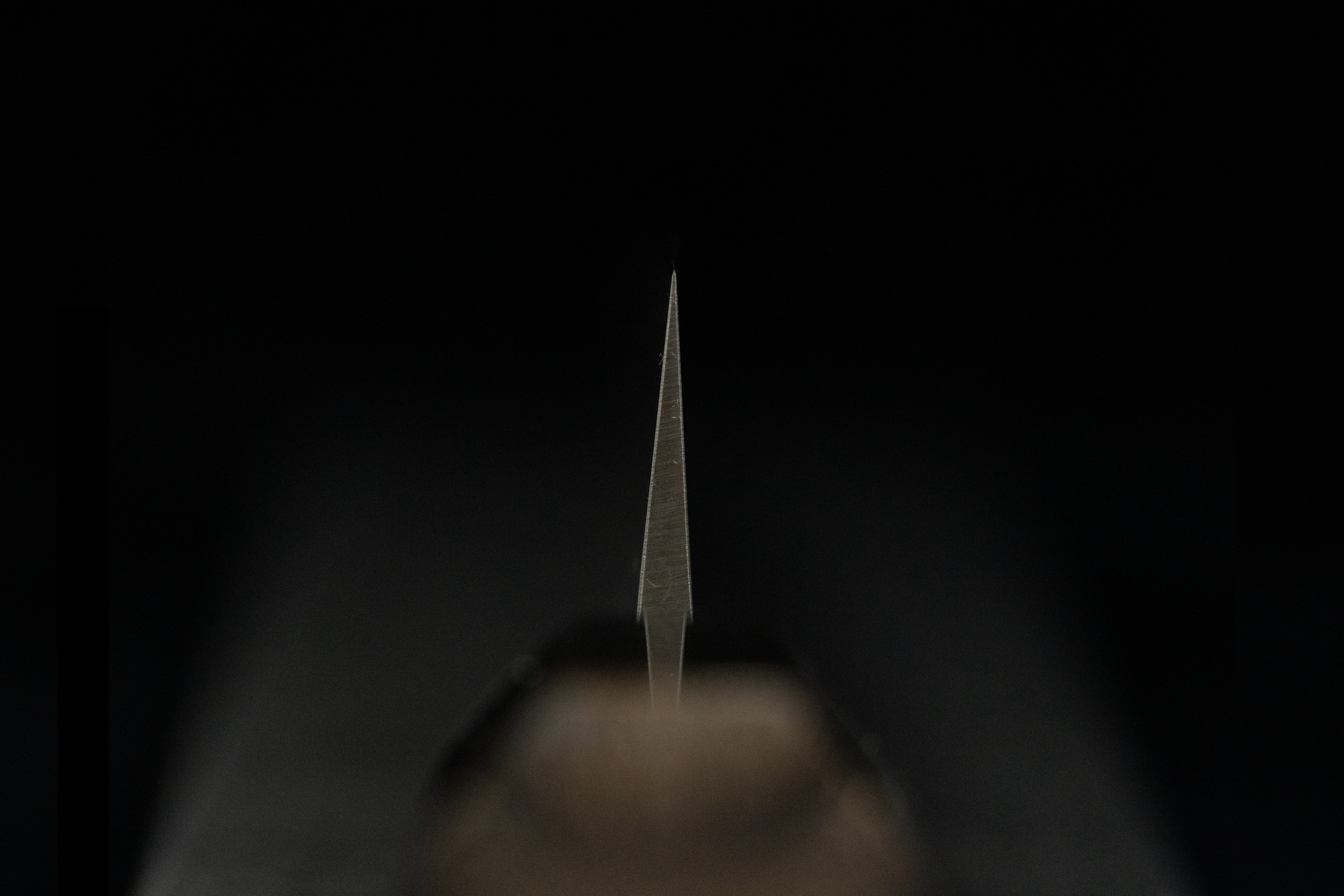 Toki 270mm Stainless Clad SLD Tsuchime Wa-Sujihiki