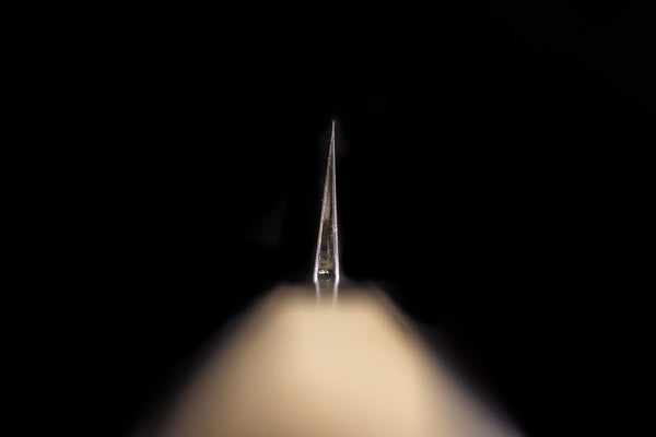 Gesshin Kagekiyo 300mm Blue #2 Yanagiba