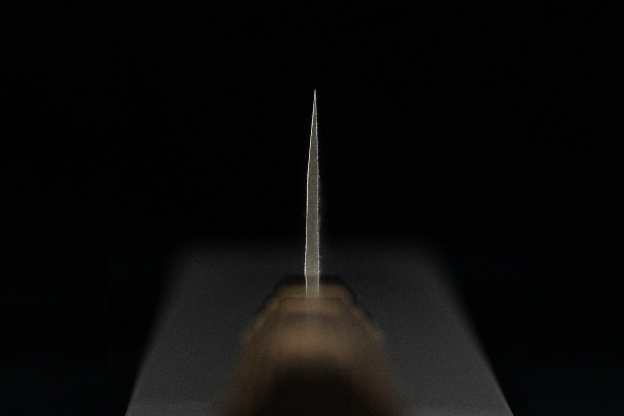 Toki 240mm Stainless Clad Blue #2 Nashiji Wa-Gyuto