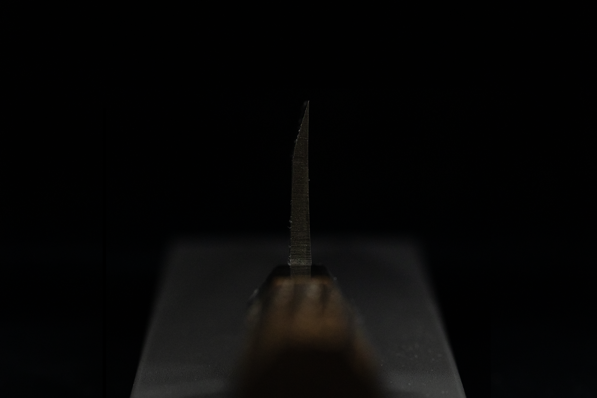 Toki 150mm Blue #2 Migaki Deba