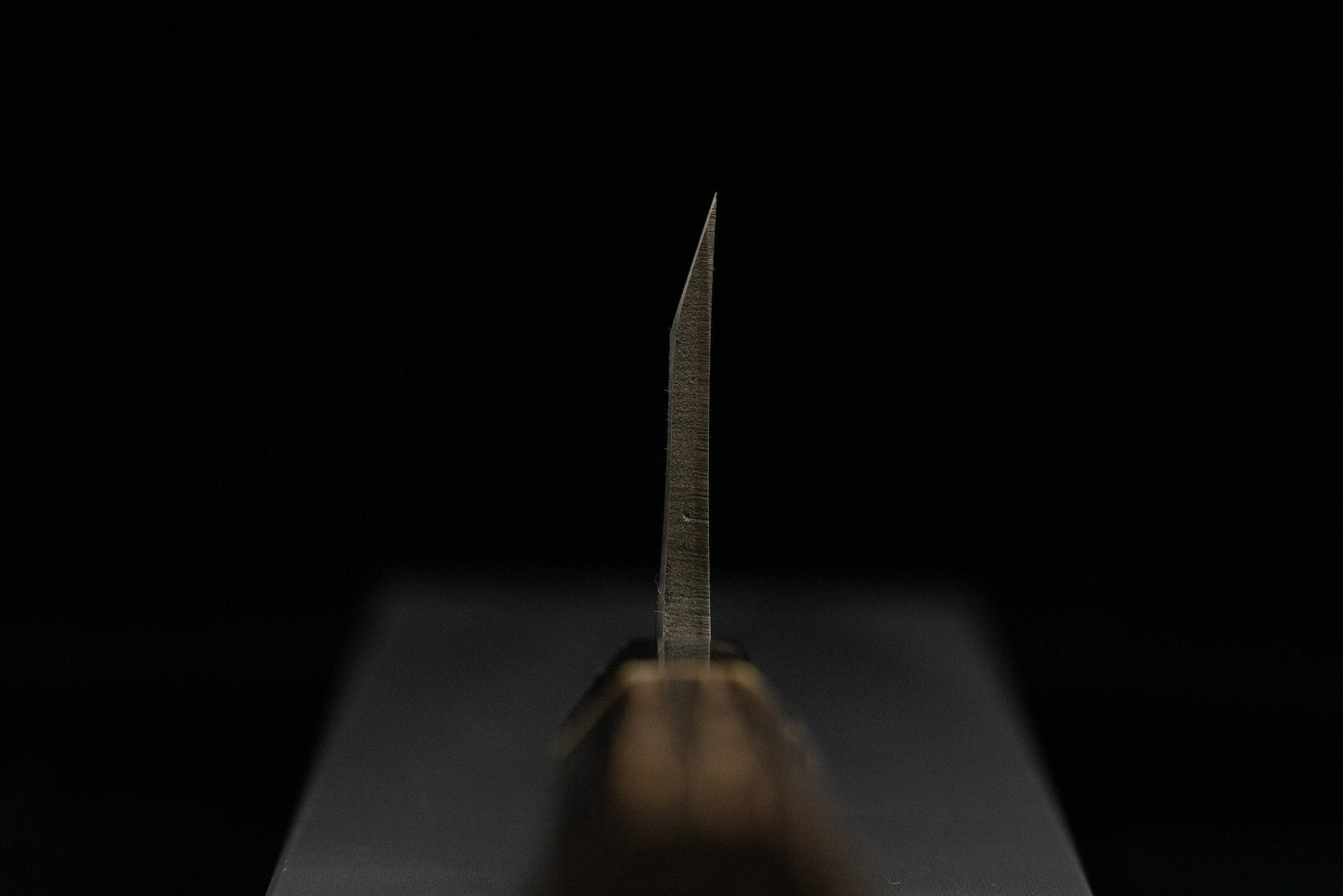 Toki 180mm Blue #2 Migaki Deba