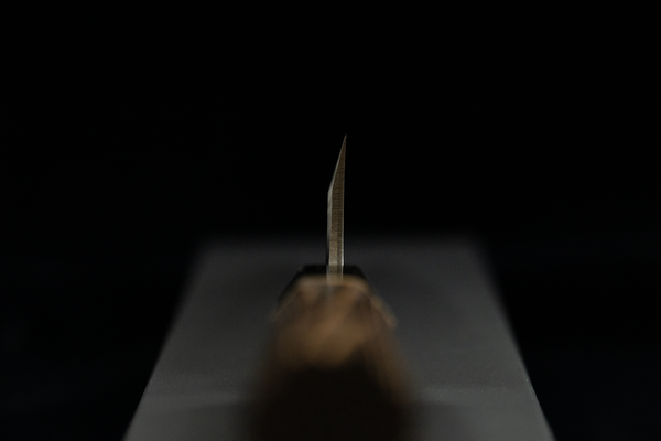 Toki 165mm Blue #2 Migaki Mioroshi Deba