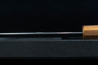 Jun 210mm Stainless Wa-Gyuto with Borneo Ironwood Handle