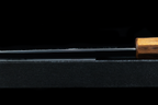 Jun 210mm Stainless Kiritsuke Wa-Gyuto with Borneo Ironwood Handle