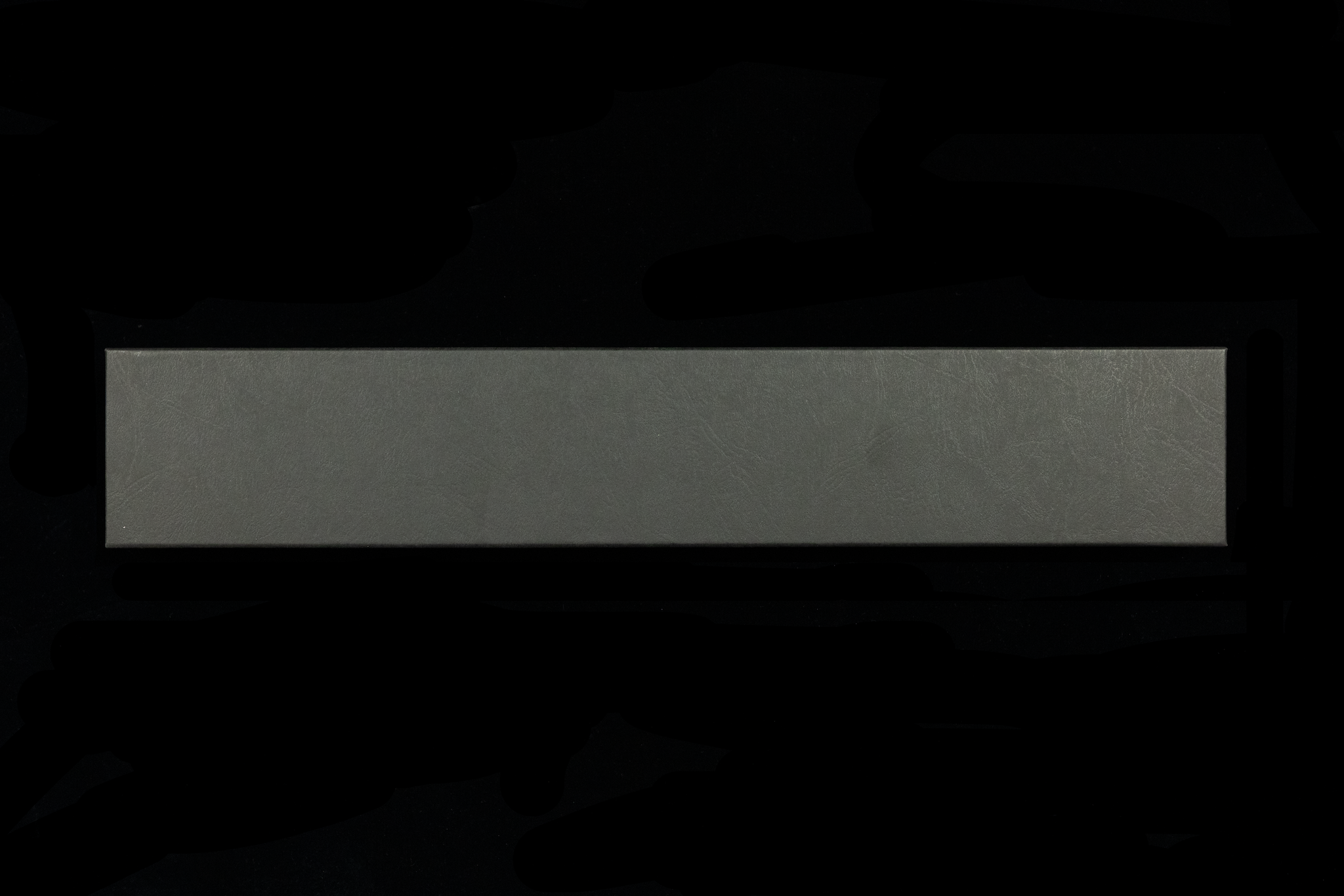 Tetsujin 210mm Blue #2 Wa-Gyuto - Tatsutogi