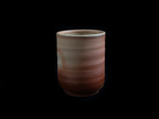 Tokeido Yunomi Hidasugi (Cedar Tree) No. 2
