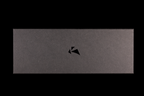 Asano Kajiya 180mm Stainless Clad White #1 Wa-Nakiri