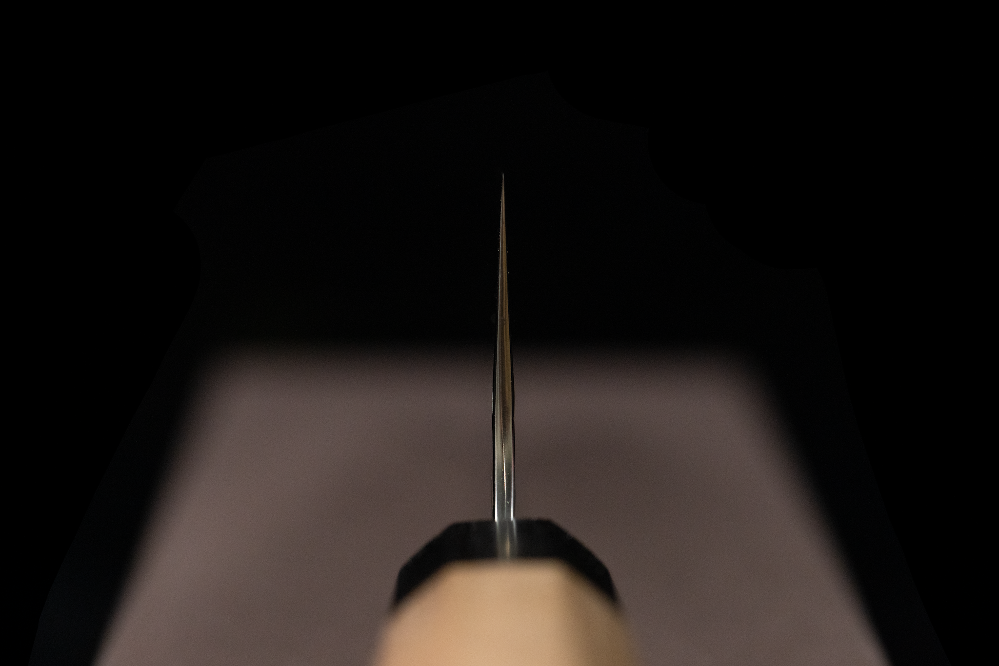 Yoshimi Echizen 210mm SG2 Wa-Gyuto
