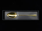 Gestura 01 Gold Solid Spoon