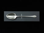 Gestura 01 Silver Solid Spoon