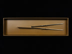Gestura Petite Stando Silver Tweezer