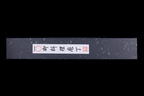 Gesshin Uraku 210mm Stainless Clad HAP40 Wa-Gyuto
