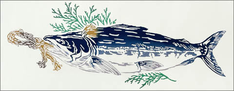 Tenugui - New Makijyake (Salted Salmon)
