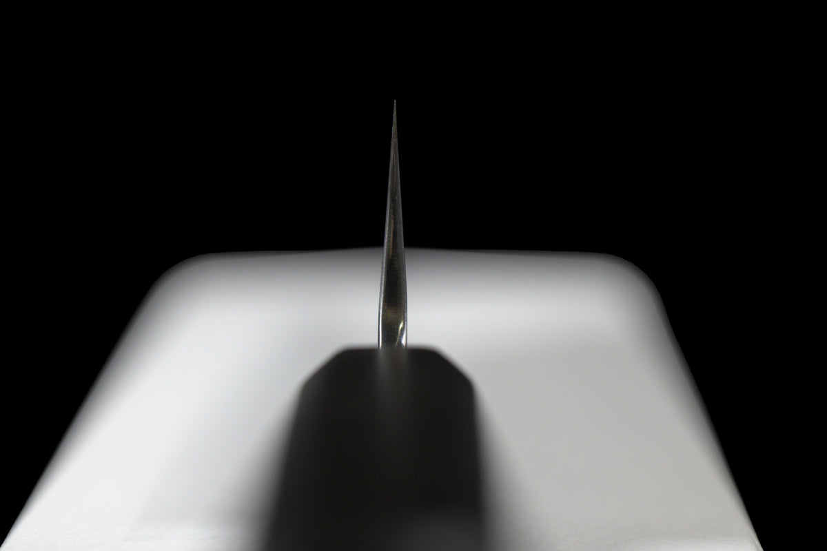Choil view of the Gesshin Kagekiyo 210mm Blue #1 Kiritsuke Wa-Gyuto showing the blade profile