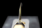 Choil view of the Gesshin Uraku 120mm White #2 Deba showing the single-bevel blade profile