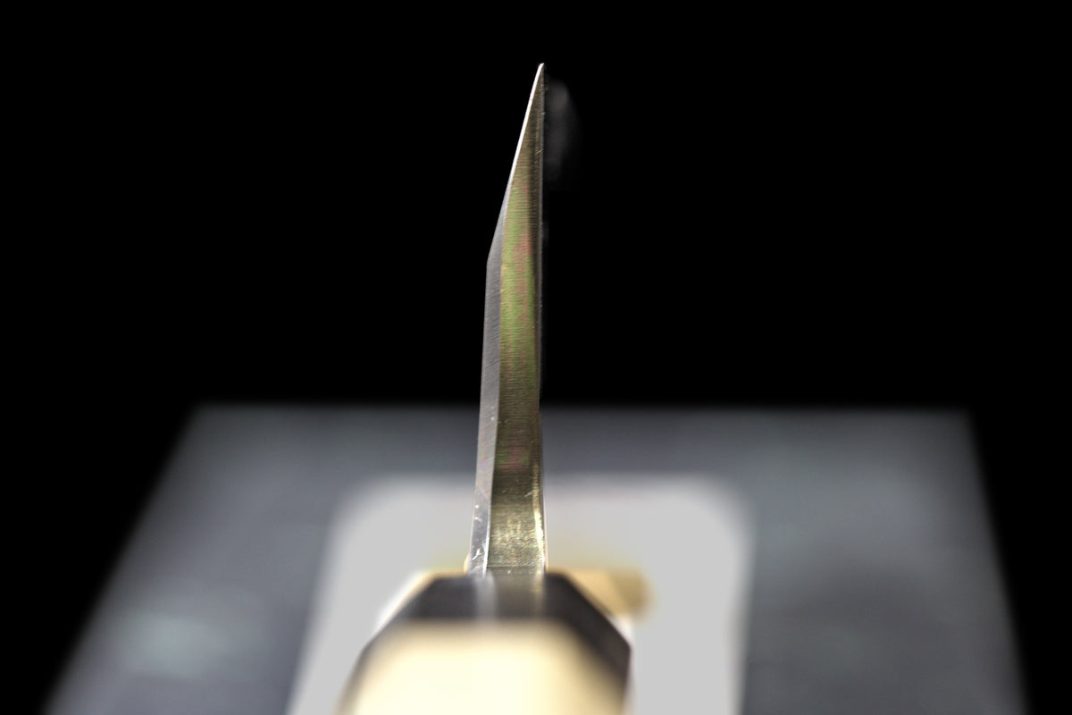 Choil view of the Gesshin Uraku 120mm White #2 Deba showing the single-bevel blade profile