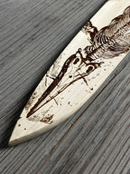 Instagram Special - Ikazuchi 240mm Stainless Clad White #1 Wa-Gyuto ver. 1