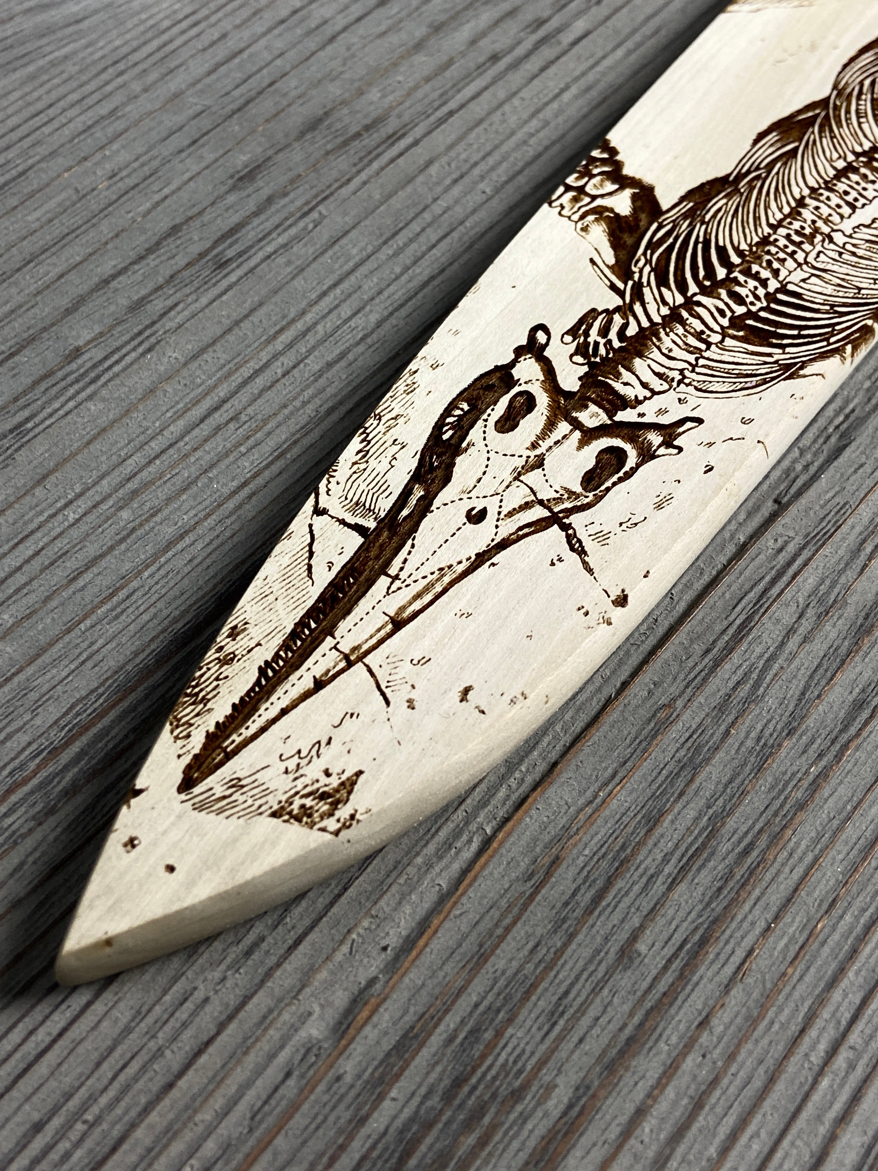 Instagram Special - Ikazuchi 240mm Stainless Clad White #1 Wa-Gyuto ver. 1