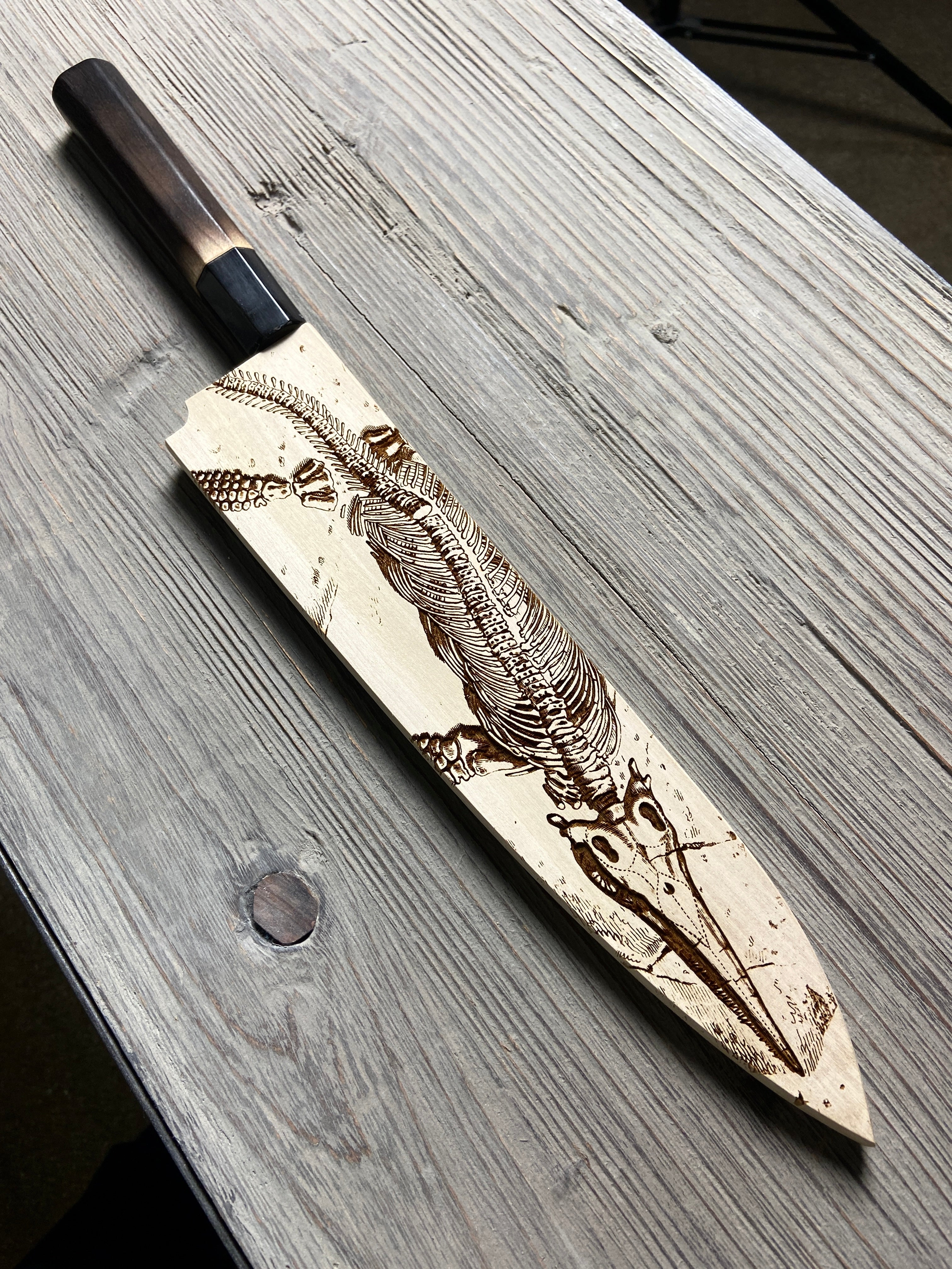 Instagram Special - Ikazuchi 240mm Stainless Clad White #1 Wa-Gyuto ver. 1