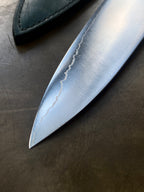 Jun 210mm Stainless Wa-Gyuto with Borneo Ironwood Handle