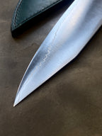 Jun 210mm Stainless Kiritsuke Wa-Gyuto with Borneo Ironwood Handle