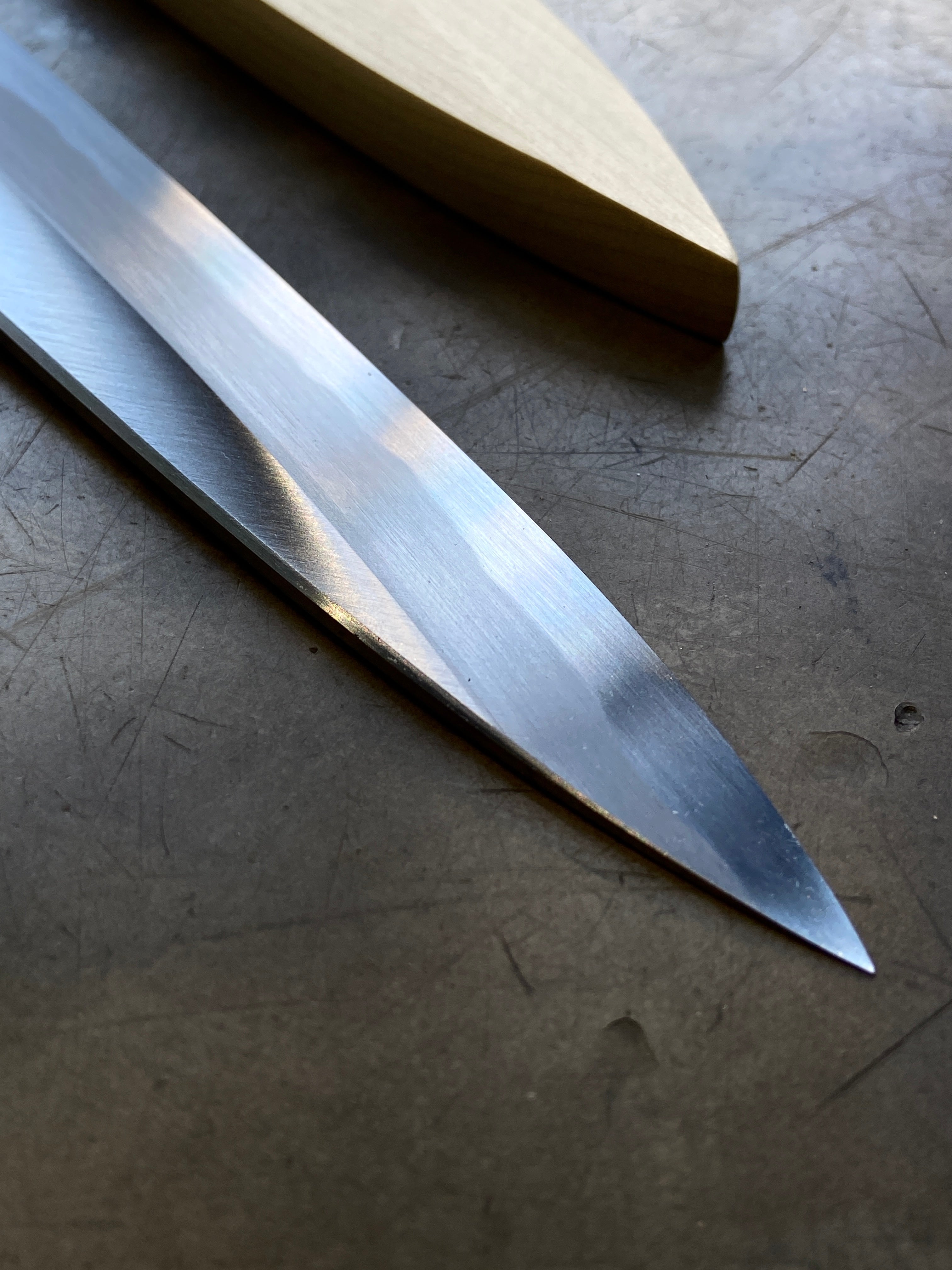 Gesshin Kagekiyo 270mm Blue #1 Left-Handed Yanagiba