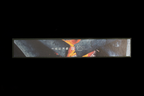 Zakuri 240mm Blue Super Migaki Wa-Gyuto