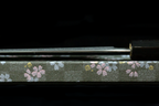 Tangetsu 270mm Blue #1 Suminagashi Wa-Gyuto
